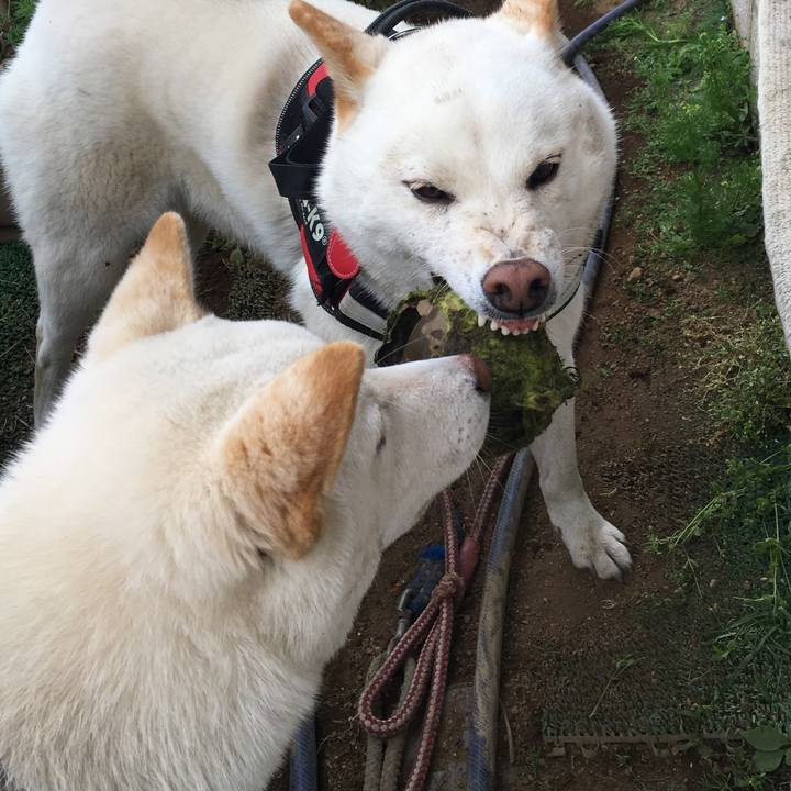 F45a48eb aa4d 4b82 a446 519ec5c2c4cc 1555899996380