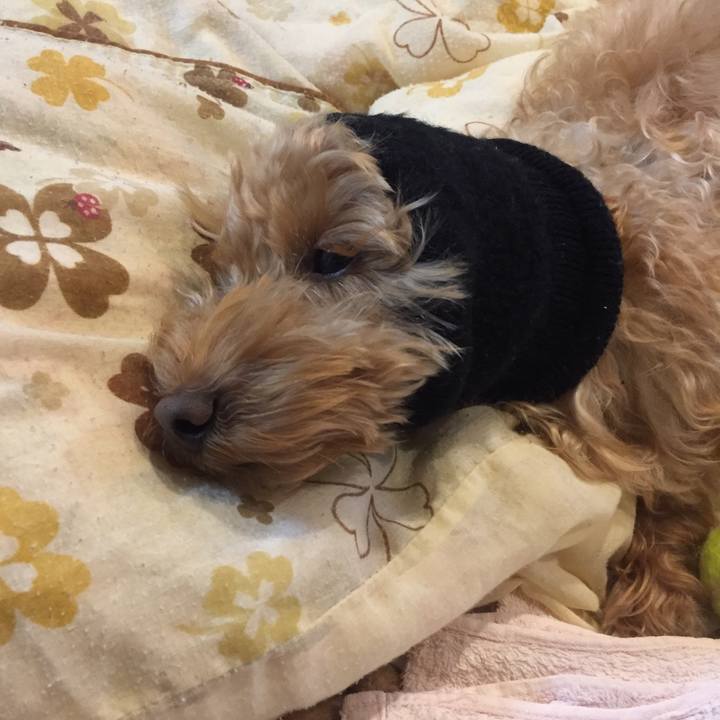 F45a89de 2e5d 4664 96e6 cc9251269b56 1517227539052