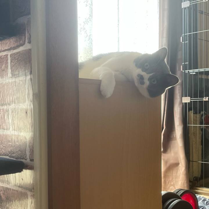 F45ad31a 3ee4 4dc0 9a15 59e07dc65173 1662767473437