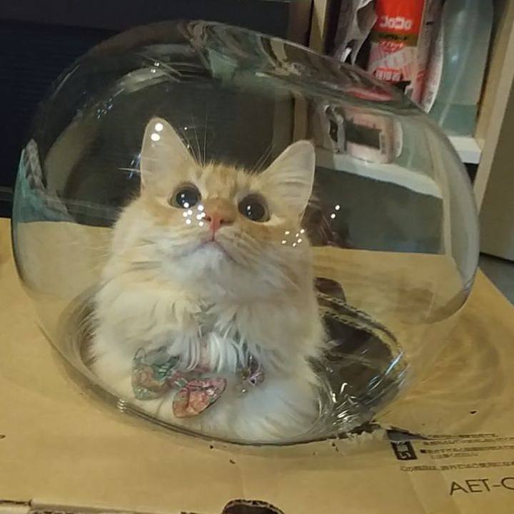 F45ada87 14d3 4e55 9601 bc53656307e9 1645194380451