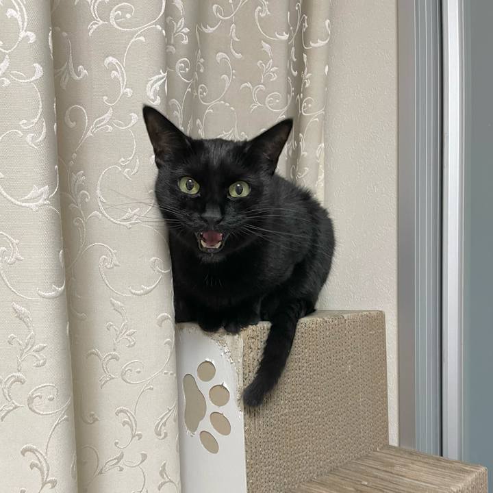 F45afe61 8171 457f 8d05 e7b0cf1ba5d9 1645616774155