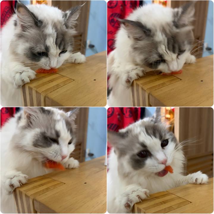 F45b8b7a 9d60 4f26 b66c e24c2cdbf187 1766841517282