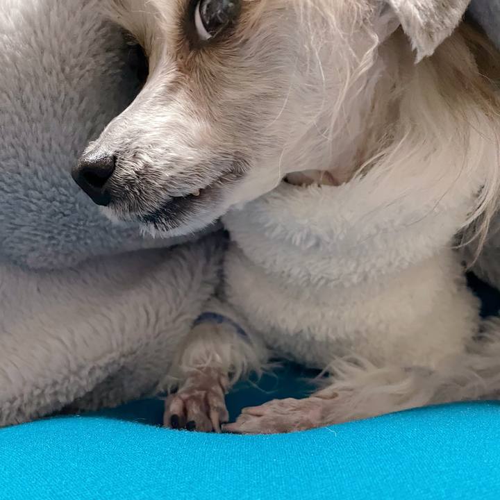 F45b958a 4f96 4912 9463 18f62819bb7d 1771235169063