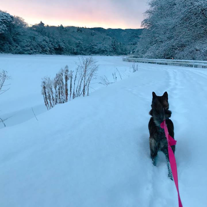 F45b9c9e 3944 4ef1 95f5 3ba5c8db2ddc 1517353364033