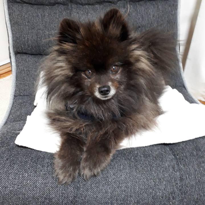 F45ba08e d80b 40f1 9313 f9af59385caf 1518638675354