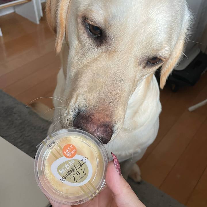 F45bc02e 7380 4613 815f e7c86d405a34 1645340669081