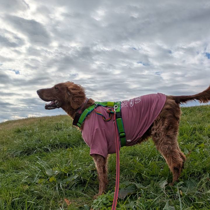 F45be83e 438d 43b7 bc2d 37060c959f9e 1761273697457