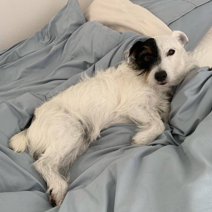 F45be965 3a07 4c1f a4fa d6182f0541db 1564705597619