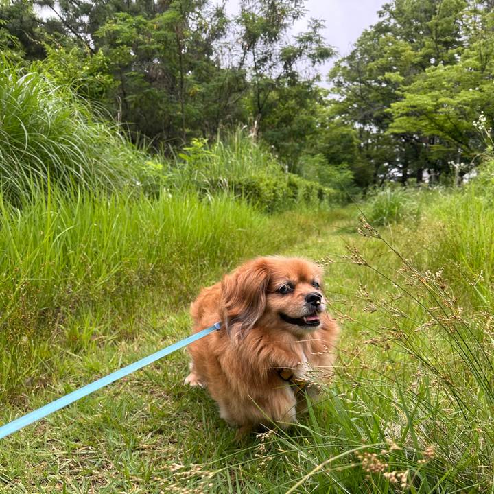 F45bf0ac f547 414f 95b4 ebecad023769 1750626959683