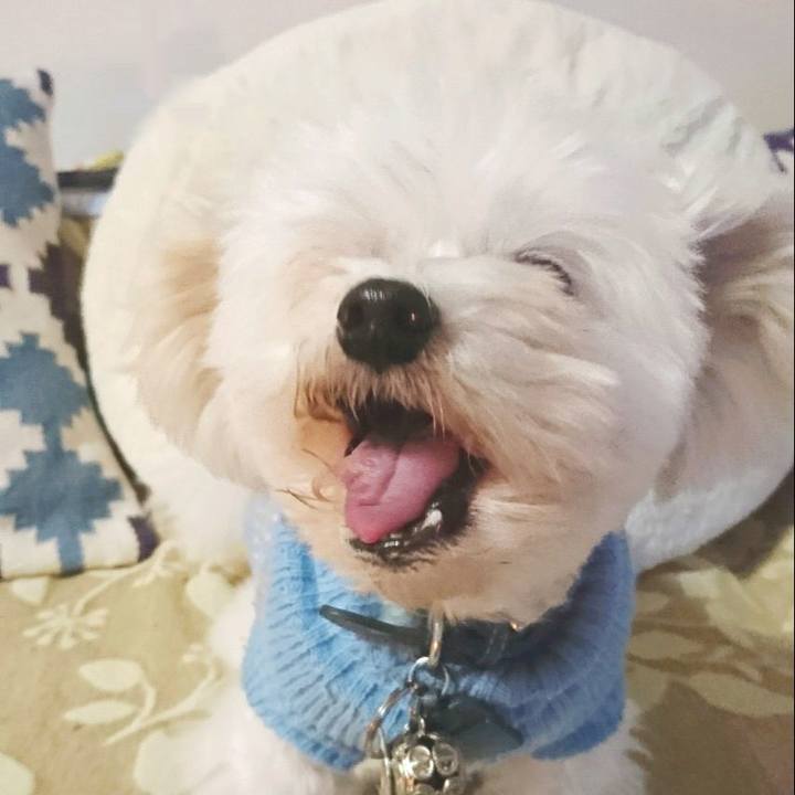 F45c32ab 56b7 4f6a 9e21 4cebc96979ce 1515814001861