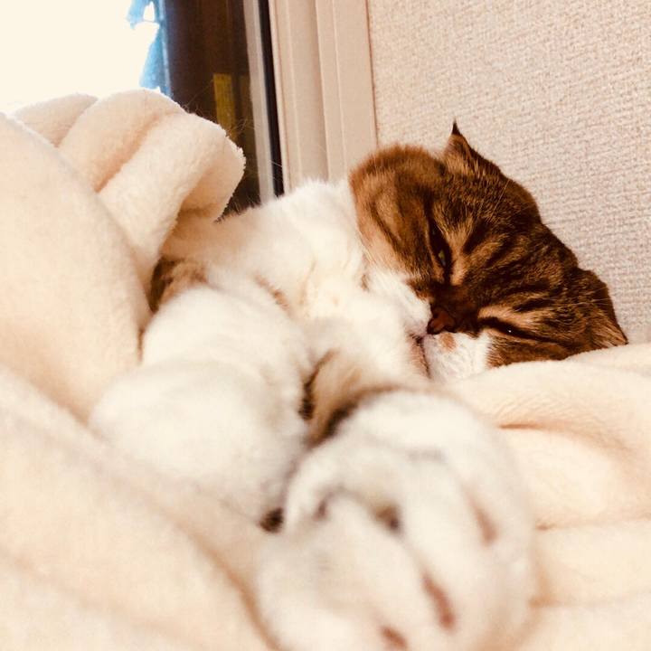 F45c6e10 1a69 4c5b 95db 92eb2b9bdc0e 1538202426122