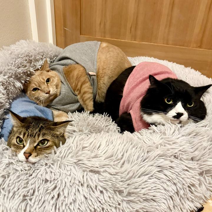 F45c7a71 42da 49e5 a213 555070f8b67b 1767494040048