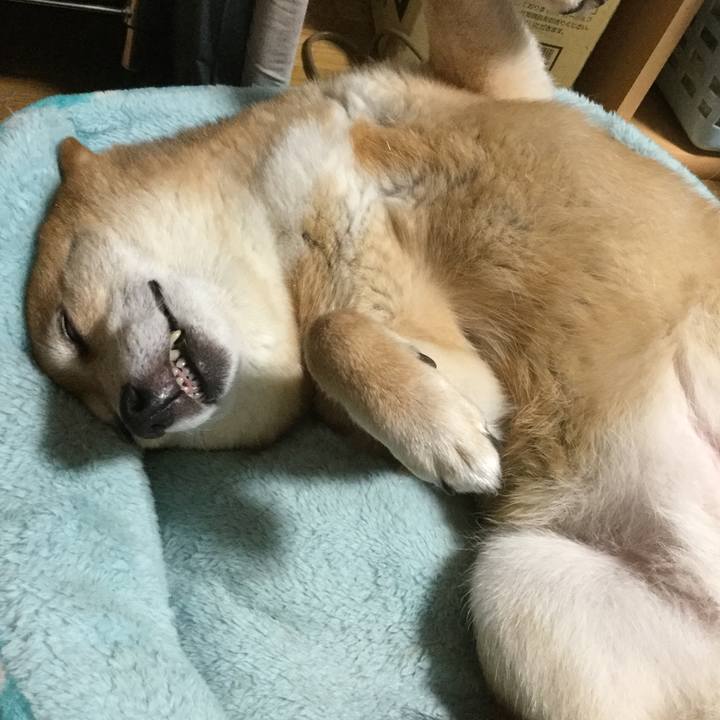 F45cc613 f576 4c8b aec7 21a37bbfd885 1558787801555