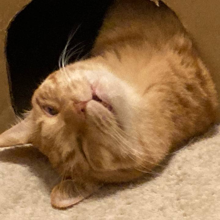 F45cd778 bbd0 49a2 9ca3 e9ddcf4228dd 1766047068131