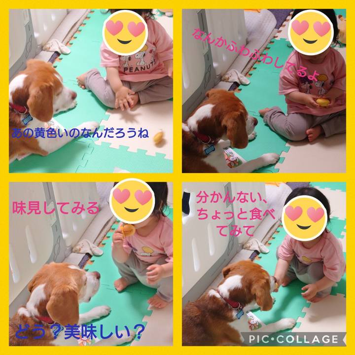 F45cd977 d629 4af2 a728 b77618f30c05 1685018544239