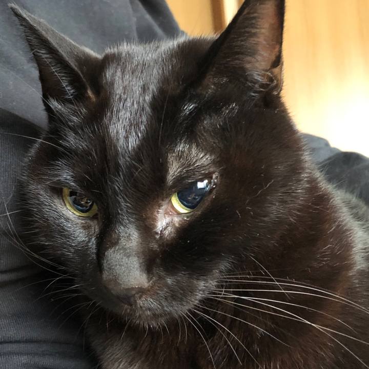 F45d0dcc ef96 4e04 8369 c9860c5a0451 1731795213733