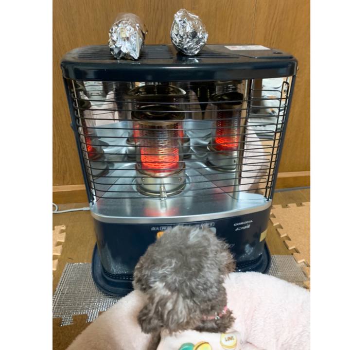 F45d0f13 b052 49ee 99cc 3f0678847643 1642026940711