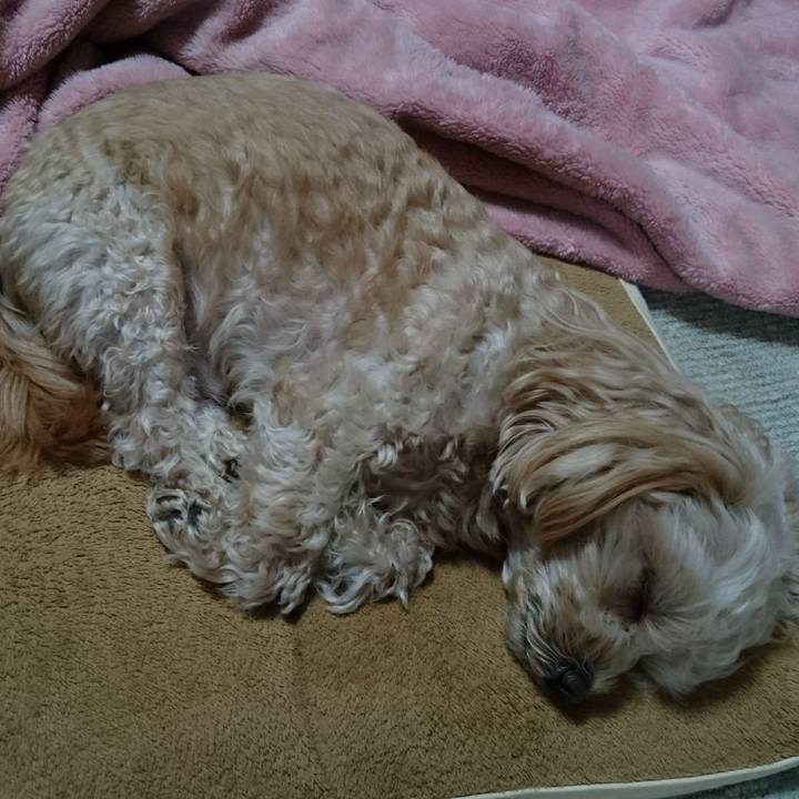 F45d2132 1aab 4d47 bbf8 4c6201ecca14 1516432879851