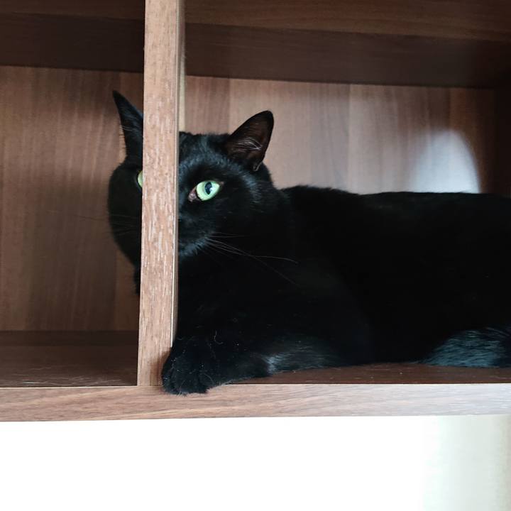 F45d2d09 02b0 46c8 8ee3 3baa60f02865 1650494720305