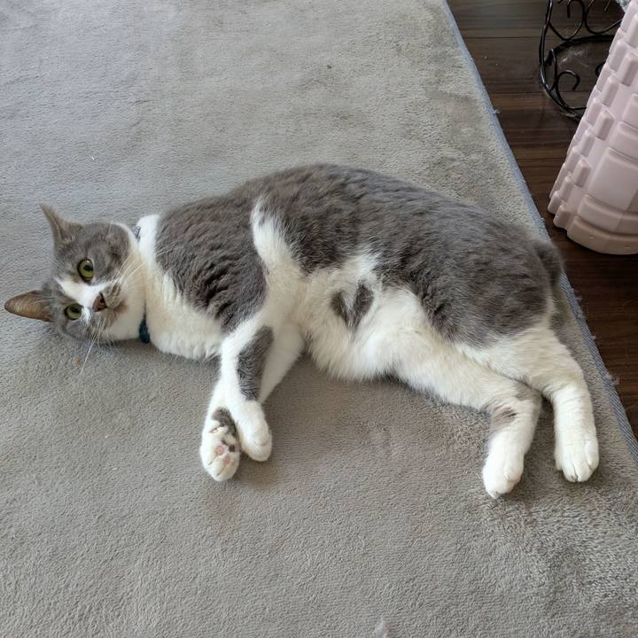 F45d2fad 2a6f 404b a0c7 8464f5ff7d5a 1747092935982