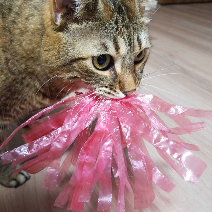 F45d55fa 455d 4253 84f3 b308129d0d35 1582719133455