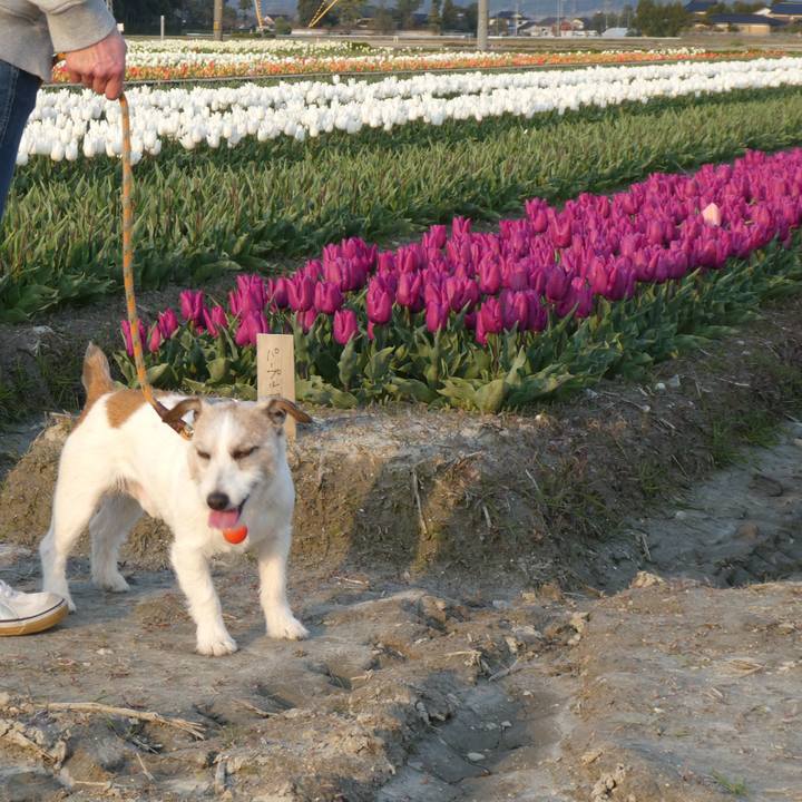 F45d6500 3edb 478f 866e 23e94c100e03 1587985844936