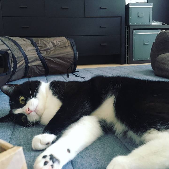 F45d75fd 3955 4f50 a51d 7e09fda09d78 1592789477200