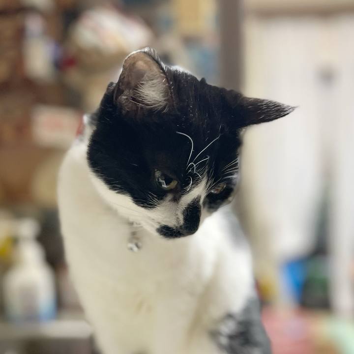 F45de9ec fed0 4334 8b10 e066ee90a9b4 1768949627783