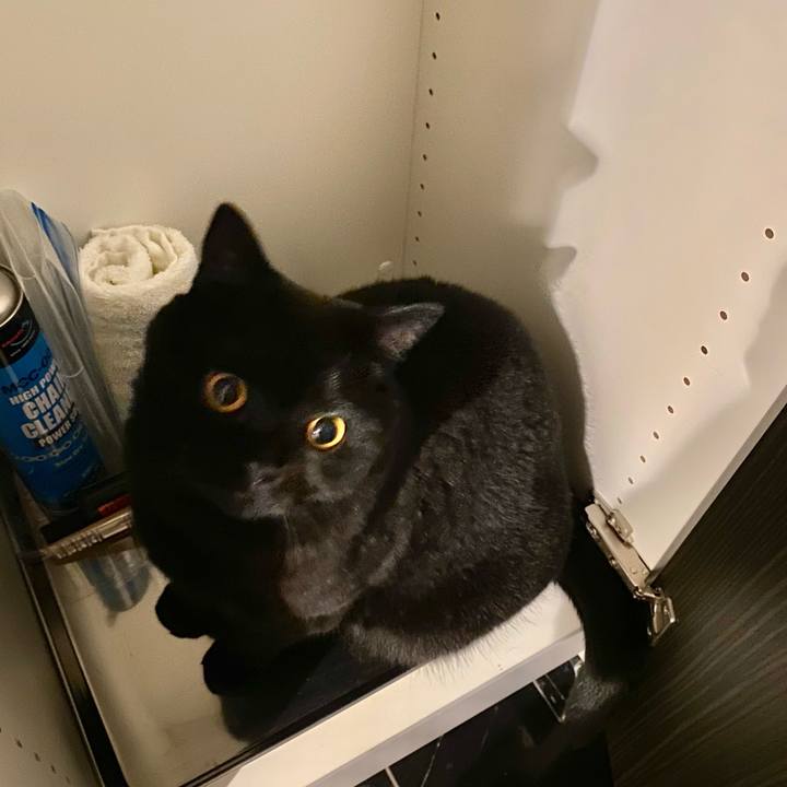 F45df7a7 637b 4ba8 a5e5 d94bbd3871db 1659616599975