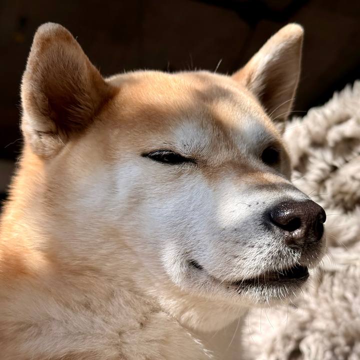 F45e2b10 630c 47df 8734 43c4ac1ebdbf 1771204069492