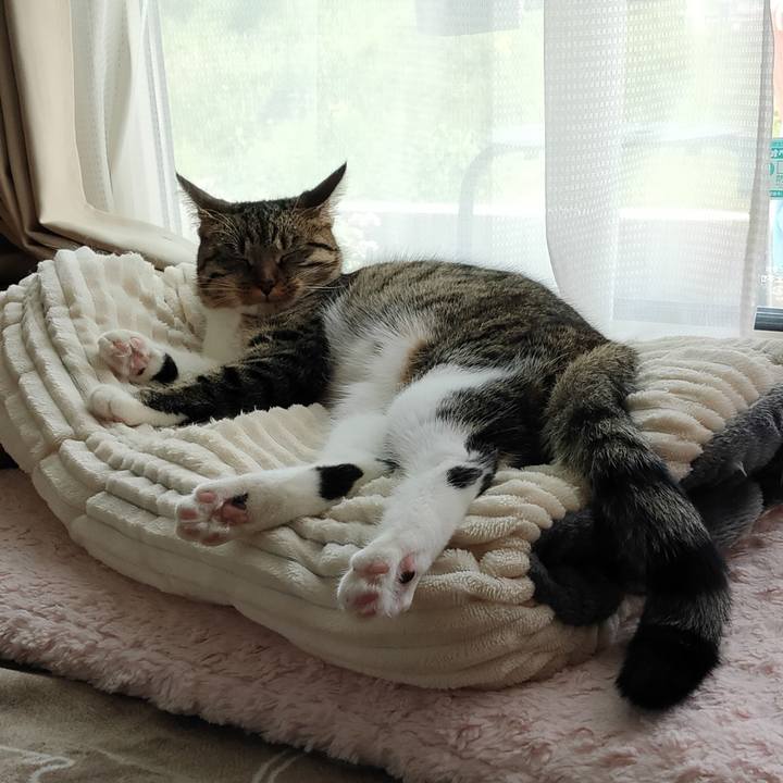 F45e44ce 0f3f 4b00 851c 68710dac9820 1650860311246