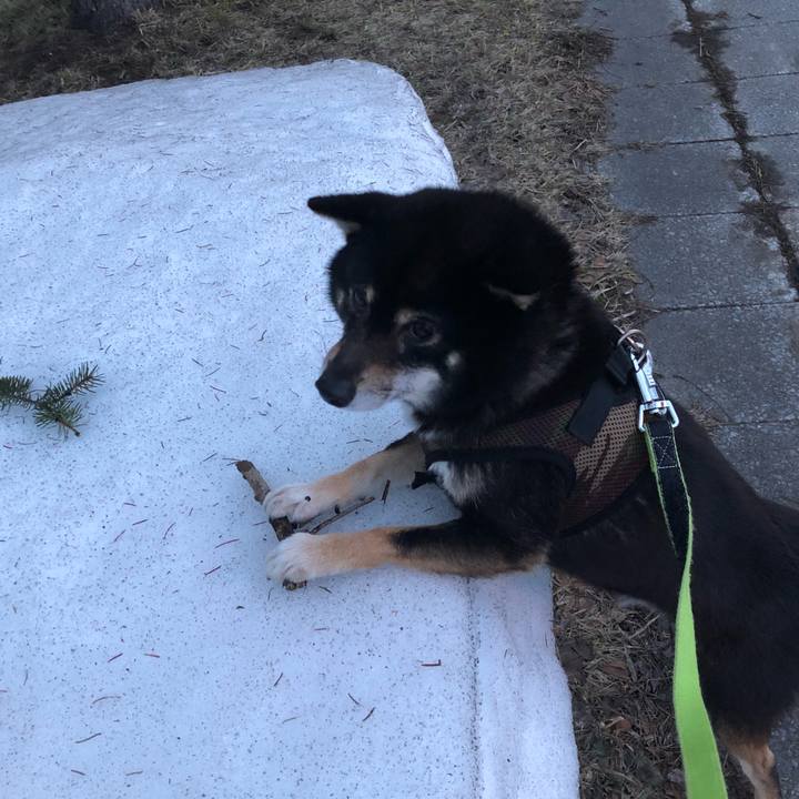 F45e721f e164 4d76 8381 cb4c06d23e87 1521783550739