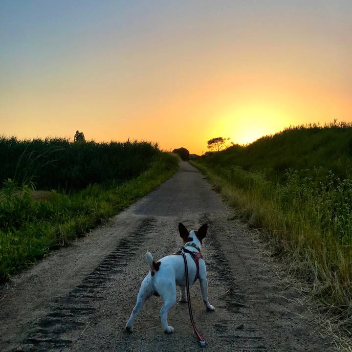 F45ee3d4 b485 446b b9ea 9dcbabeb97f3 1527937306066