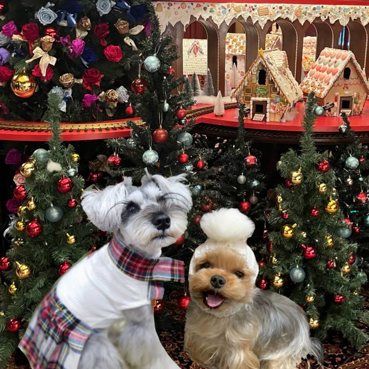 F45ee5ad 1653 4e1a 9695 5edf35cf1fe2 1766637164847