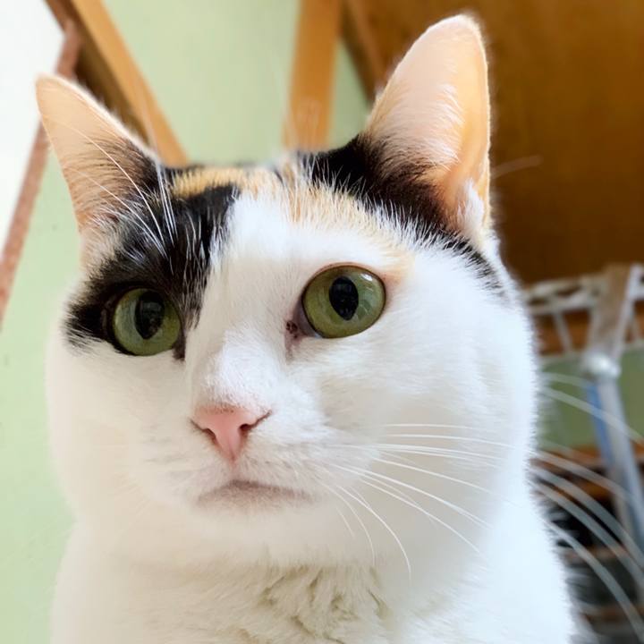 F45f2572 7253 4118 a626 4009716da9ea 1550541616356