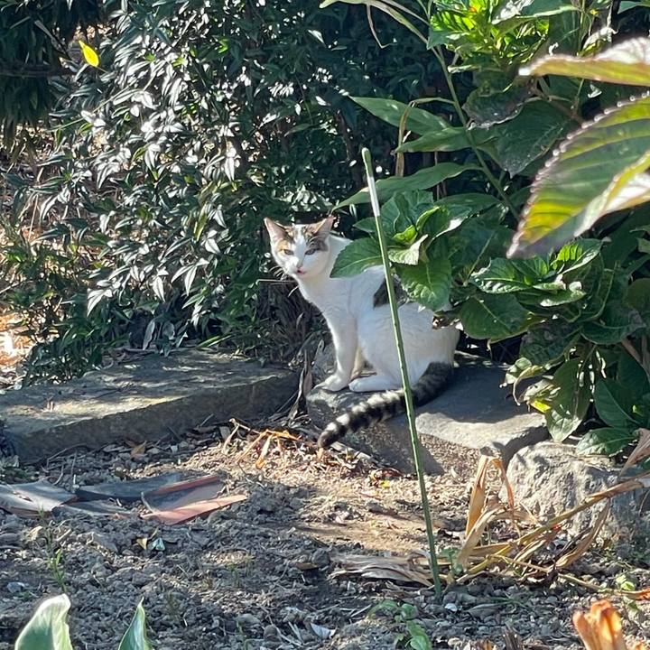 F45f565c 9c92 4c4f 9f46 2fee52e334fa 1635999469747