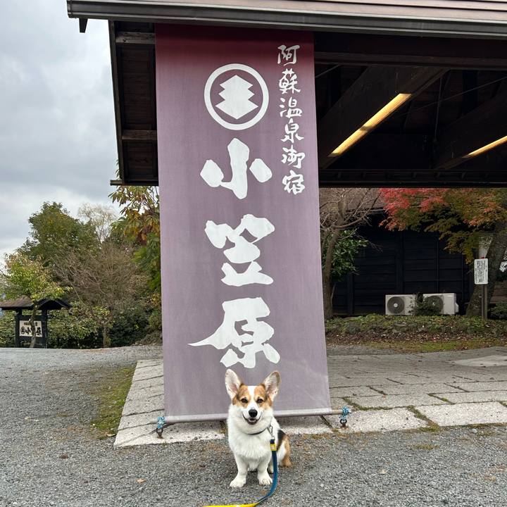 F45f6a5b 11be 4c49 bab4 63408311e680 1764062465458