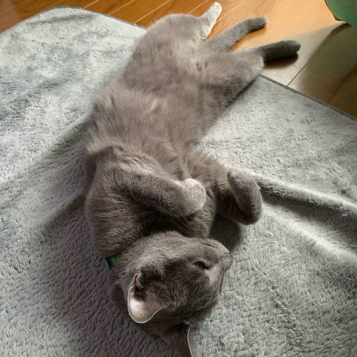 F45f863b 8666 4833 8125 73b94af25988 1663625960006