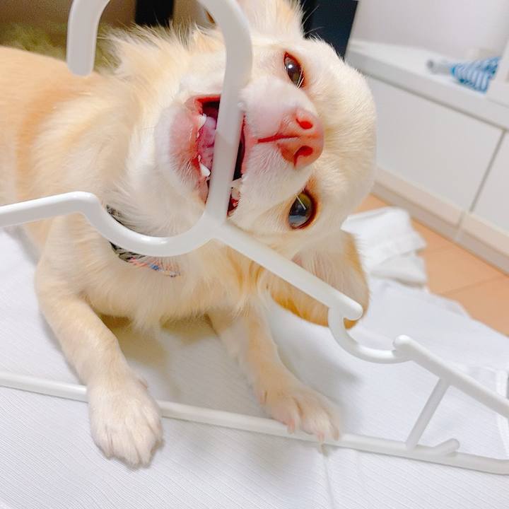 F45fd0db e3b8 4d90 9b34 519aace9f7b5 1633082299799