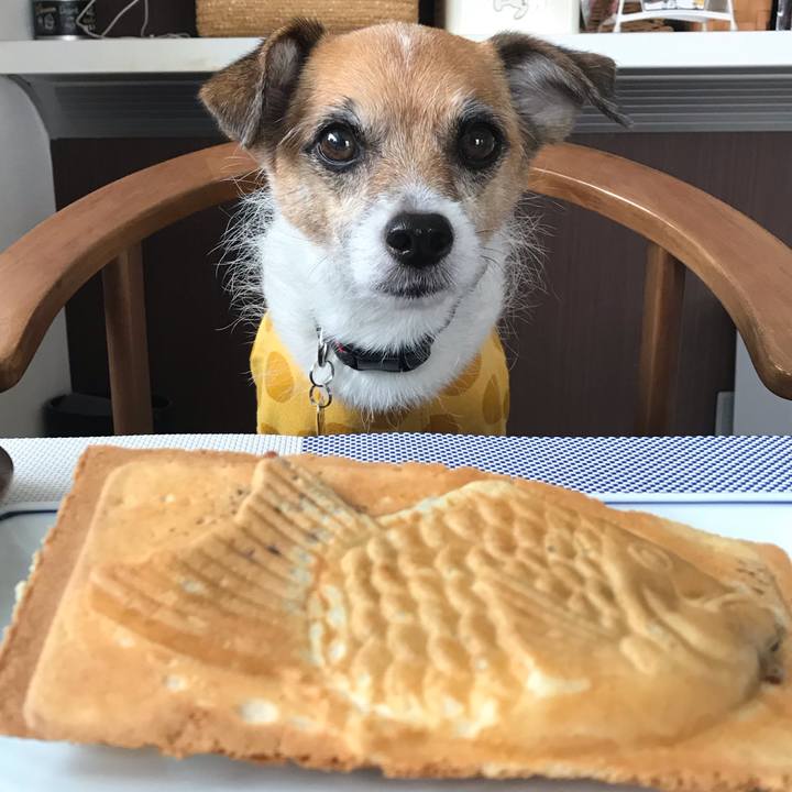 F46000f0 ec08 4121 954a 4a86f49c6ece 1539502313220