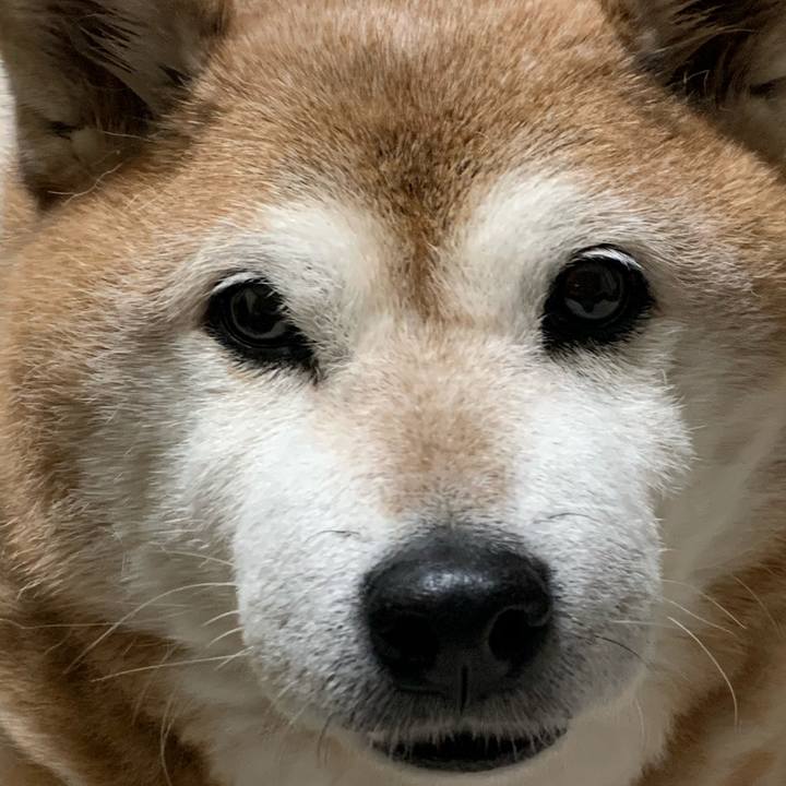 F4604b1f b8b2 43a5 b3e9 b1e791f66b89 1580632762634