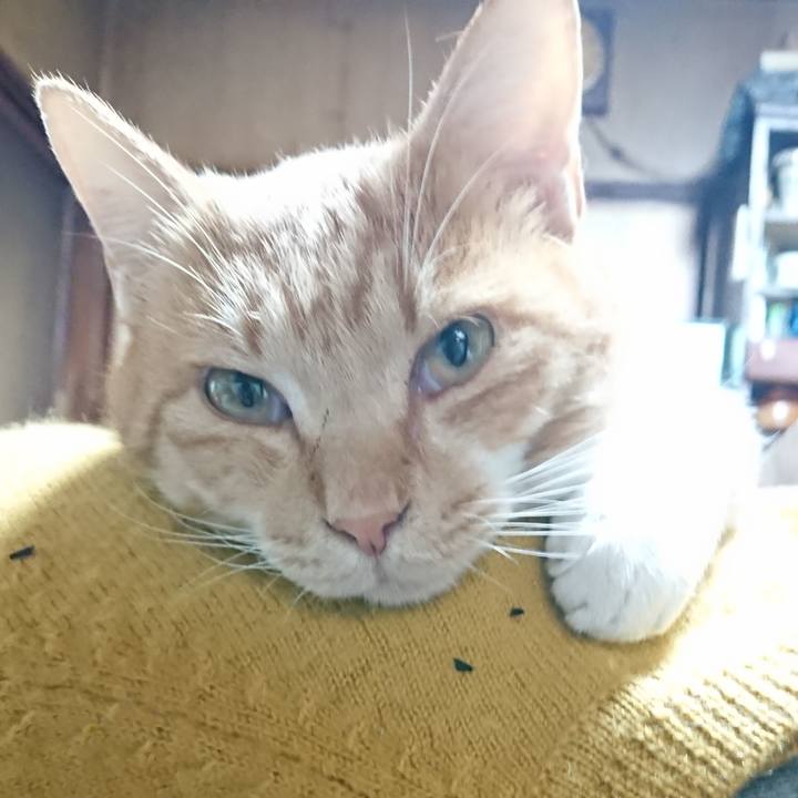 F46097c0 a1ee 46dd b3d9 06769ce6532b 1573339543853