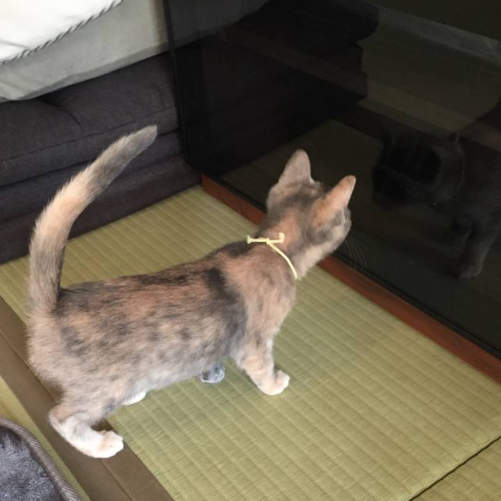 F460d2d7 3ddf 4939 b7c3 99dd995dd14d 1575253242259