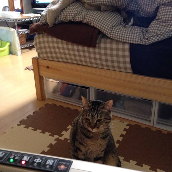 F4610285 189d 47bd a269 ff8e83868334 1511002258989