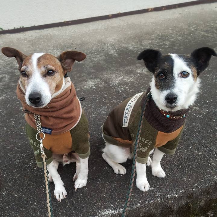 F4612334 aaa9 4c98 bb21 f175048c51a2 1769120277483