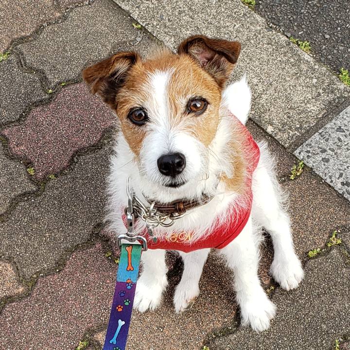 F46131ed c088 41ce aa0c 715dadbe0e32 1767141508282