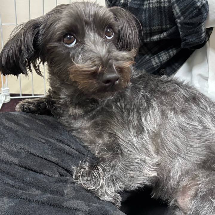 F4614e66 76a7 4cb8 be6a b8e67d4234fd 1769078504978