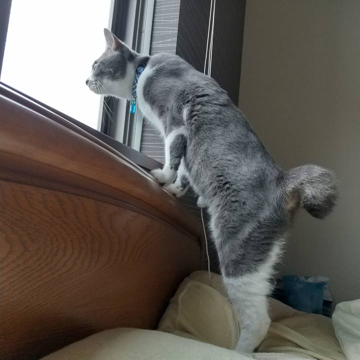 F461558c b383 4c51 b478 b28050391362 1596924756051