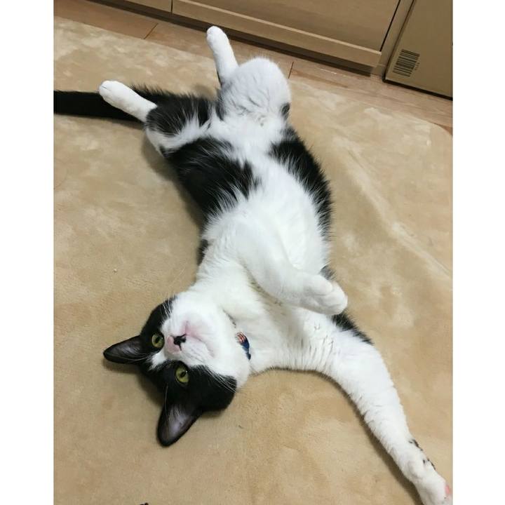 F46157e5 d149 4ebc 87d1 909b4e058256 1518132414400