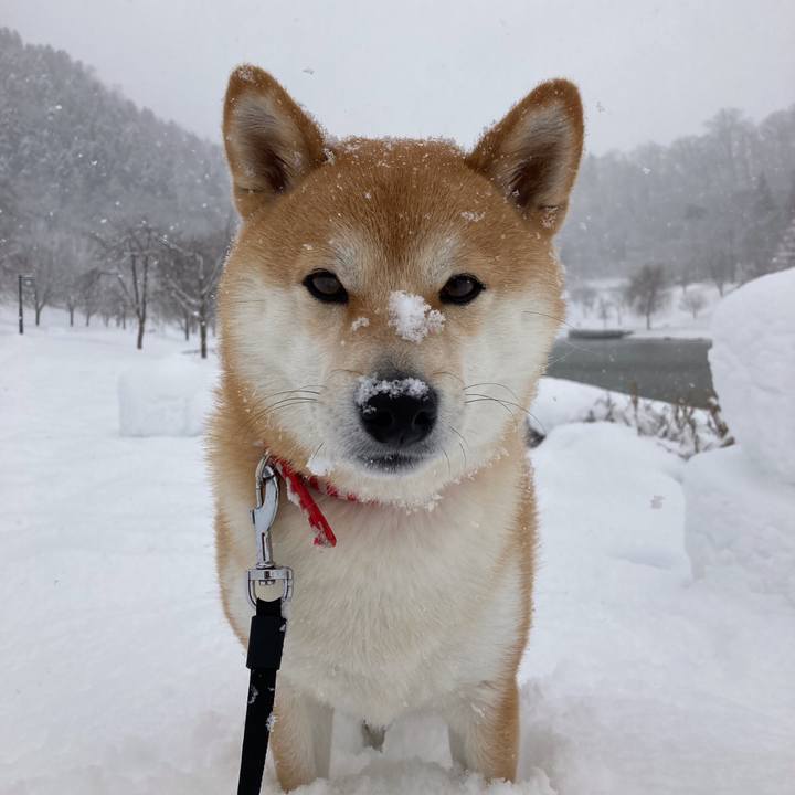 F46159f2 095f 499d 9a24 8da688ccfa9f 1644126080471